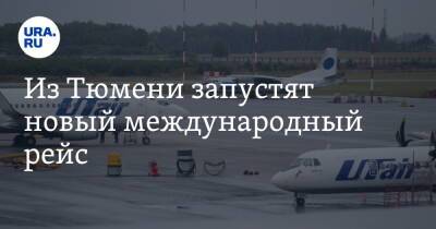 Из Тюмени запустят новый международный рейс - ura.news - Казахстан - Тюмень - Волгоград - Петропавловск