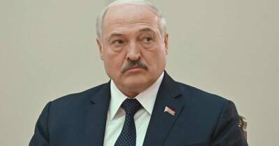 Александр Лукашенко - Виктор Хренин - Лукашенко заявил о готовности первым пойти на войну ради Отечества - ren.tv - Москва - Россия - Белоруссия - Минск