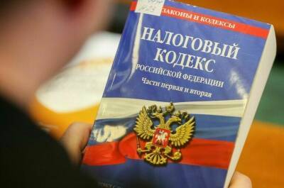 Комитет Совфеда одобрил законопроекты о налоговом эксперименте для микропредприятий - pnp.ru - Москва - Московская обл. - респ. Татарстан - Калужская обл.