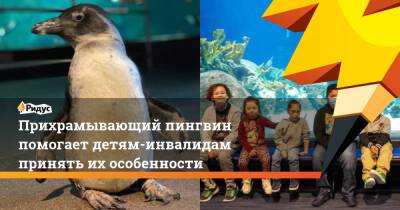 Прихрамывающий пингвин помогает детям-инвалидам принять их особенности - ridus.ru - США - шт. Аризона