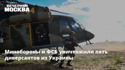 Минобороны и ФСБ уничтожили пять диверсантов из Украины - vm.ru - Москва - Россия - Украина - Киев - Германия - Франция - ДНР - Ростовская обл. - Минск - ЛНР - Минобороны