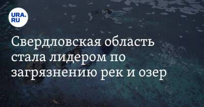 Свердловская область стала лидером по загрязнению рек и озер - ura.news - Екатеринбург - Свердловская обл.