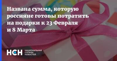 Названа сумма, которую россияне готовы потратить на подарки к 23 Февраля и 8 Марта - nsn.fm