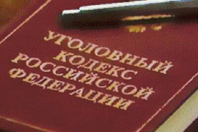 Провинциальный детектив: костромские полицейские оперативно раскрыли кражу в Буйском районе - kostroma.mk.ru - Кострома