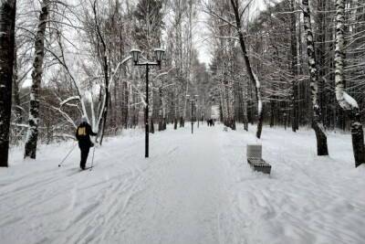 Роман Вильфанд - В начале марта в европейскую Россию ненадолго вернутся морозы - mk.ru - Россия