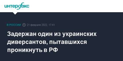 Александр Бортников - Задержан один из украинских диверсантов, пытавшихся проникнуть в РФ - interfax.ru - Москва - Россия - Украина - Луганская обл. - Ростовская обл. - Мариуполь