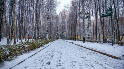 Московские парки рассказали об онлайн-активностях - parkseason.ru - Россия - Новости