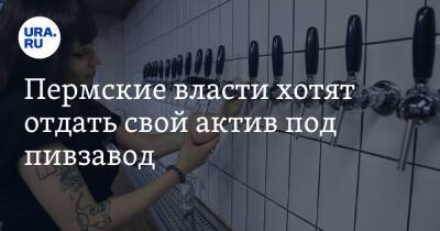 Пермские власти хотят отдать свой актив под пивзавод - ura.news - Пермь