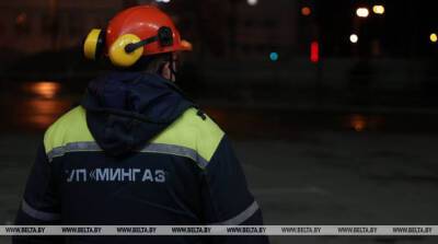 "Мингаз" рассказал о сроках техобслуживания газоиспользующего оборудования и газопроводов - belta.by - Белоруссия - Минск
