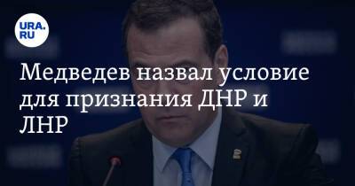 Владимир Путин - Дмитрий Медведев - Андрей Турчак - Медведев назвал условие для признания ДНР и ЛНР - ura.news - Россия - Украина - Луганская обл. - ДНР - Ростовская обл. - ЛНР - Донбасс