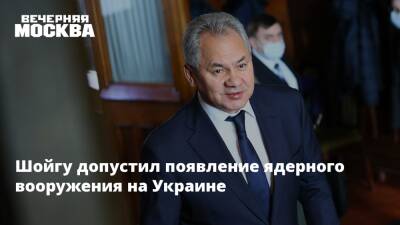 Сергей Шойгу - Владимир Зеленский - Шойгу допустил появление ядерного вооружения на Украине - vm.ru - Украина - Киев - КНДР - Иран