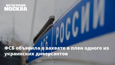 Владимир Путин - Денис Пушилин - Леонид Пасечник - Александр Бортников - Дмитрий Кулеба - ФСБ объявила о захвате в плен одного из украинских диверсантов - vm.ru - Россия - Украина - Киев - ДНР - Ростовская обл. - ЛНР - Мариуполь