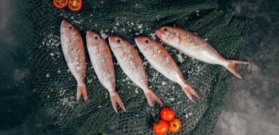Велика Британія - Норвегія вже 15 років є головним постачальником риби в Україну - thepage.ua - США - Украина - Канада - Україна - Норвегія - Іспанія - Ісландія