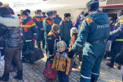 В Саратове беженцев из Донбасса обеспечили сим-картами - saratov.mk.ru - Саратовская обл. - Саратов - Донецк - Луганск
