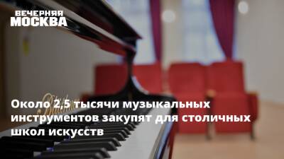 Около 2,5 тысячи музыкальных инструментов закупят для столичных школ искусств - vm.ru - Москва - Москва