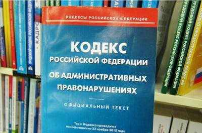 Елена Ямпольская - За отождествление роли СССР и гитлеровской Германии во Второй мировой войне предложили штрафовать - pnp.ru - Россия - Германия - Ростовская обл.