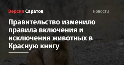 Правительство изменило правила включения и исключения животных в Красную книгу - nversia.ru - Саратовская обл. - Саратов