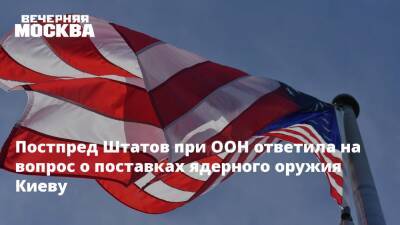 Сергей Шойгу - Владимир Зеленский - Линда Томас-Гринфилд - Постпред Штатов при ООН ответила на вопрос о поставках ядерного оружия Киеву - vm.ru - Россия - США - Украина - Киев - Англия - Киев