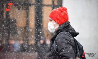 Полина Зиновьева - В Петербурге 5 февраля будет ветрено и снежно - fedpress.ru - Ленинградская обл. - Санкт-Петербург