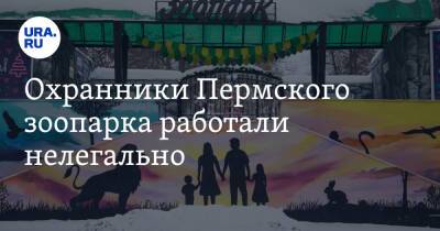 Охранники Пермского зоопарка работали нелегально - ura.news - Пермь - Пермский край