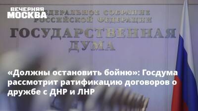 Вячеслав Володин - «Должны остановить бойню»: Госдума рассмотрит ратификацию договоров о дружбе с ДНР и ЛНР - vm.ru - Москва - Россия - США - Киев - ДНР - ЛНР - Донецкая обл. - Сотрудничество