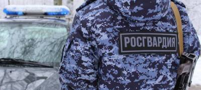 В Карелии объявленный в розыск мужчина попался в руки росгвардейцев - stolicaonego.ru - Петрозаводск - республика Карелия