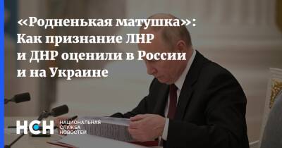 Владимир Путин - Вячеслав Володин - Денис Пушилин - Леонид Пасечник - «Родненькая матушка»: Как признание ЛНР и ДНР оценили в России и на Украине - nsn.fm - Россия - Украина - ДНР - ЛНР - Донбасс