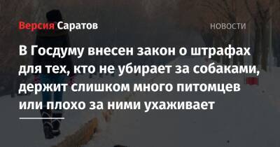 В Госдуму внесен закон о штрафах для тех, кто не убирает за собаками, держит слишком много питомцев или плохо за ними ухаживает - nversia.ru