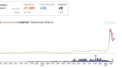 В Тюменской области произошёл спад количества заболевших коронавирусом - nashgorod.ru - Россия - Тюменская обл. - Югра - окр. Янао