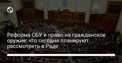 Руслан Стефанчук - Реформа СБУ и право на гражданское оружие: что сегодня планируют рассмотреть в Раде - liga.net - Украина - Англия - Германия
