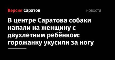 В центре Саратова собаки напали на женщину с двухлетним ребёнком: горожанку укусили за ногу - nversia.ru - Саратов