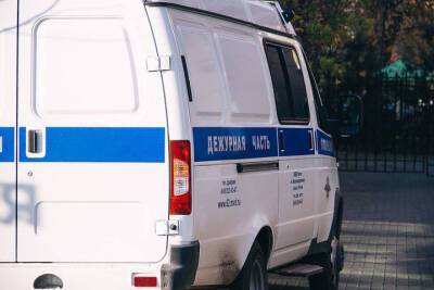 Полиция задержала нескольких участников массовой драки в Рязани - rzn.mk.ru - Рязанская обл. - Рязань