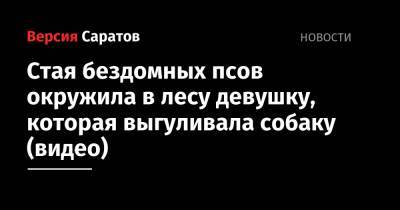 Стая бездомных псов окружила в лесу девушку, которая выгуливала собаку (видео) - nversia.ru