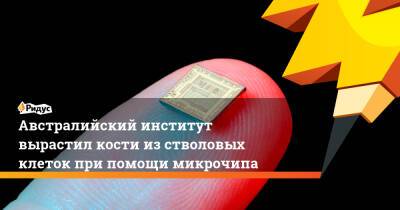 Австралийский институт вырастил кости из стволовых клеток при помощи микрочипа - ridus.ru - Австралия - Мельбурн