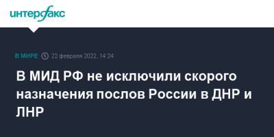 Владимир Путин - Андрей Руденко - В МИД РФ не исключили скорого назначения послов России в ДНР и ЛНР - interfax.ru - Москва - Россия - Украина - Луганская обл. - ДНР - ЛНР