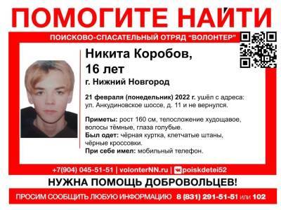16-летнего подростка разыскивают в Нижнем Новгороде - vgoroden.ru - Нижний Новгород