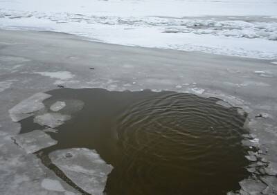 В Дашково-Песочне мужчина провалился под лед на пруду, спасая собаку - ya62.ru