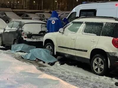Двух девочек-подростков нашли под окнами высотки в Петербурге - ivbg.ru - Украина - Санкт-Петербург - Петербург