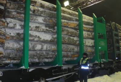 Таможенники в Светлогорске нашли под вагоном поезда тайник с тысячей сигаретных пачек - online47.ru - Финляндия - Светлогорск