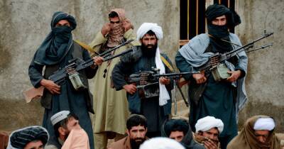 Афганистан - Талибан создает в Афганистане "великую армию" из войск старого режима - focus.ua - США - Украина - Германия - Афганистан - Талибан