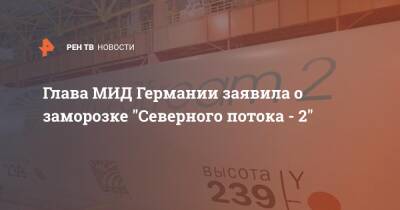 Олаф Шольц - Анналена Бербок - Глава МИД Германии заявила о заморозке "Северного потока - 2" - ren.tv - Москва - Германия - ДНР - Париж - Берлин - ЛНР