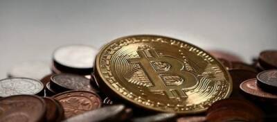 Нассим Талеб - Нассим Талеб раскритиковал первую криптовалюту: биткоин не спасет от инфляции - altcoin.info - США