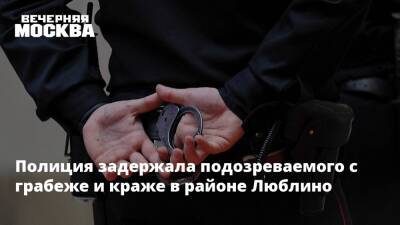 Полиция задержала подозреваемого с грабеже и краже в районе Люблино - vm.ru - Москва - Россия - Москва