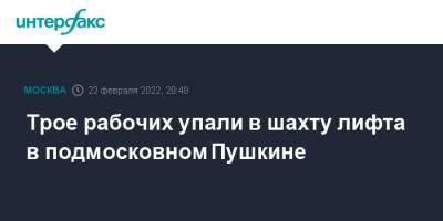 Трое рабочих упали в шахту лифта в подмосковном Пушкине - interfax.ru - Москва - Московская обл. - Московская область