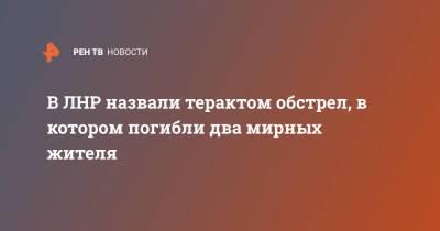 Владимир Путин - Денис Пушилин - В ЛНР назвали терактом обстрел, в котором погибли два мирных жителя - ren.tv - Россия - Украина - ДНР - ЛНР - Донбасс - Обстрелы