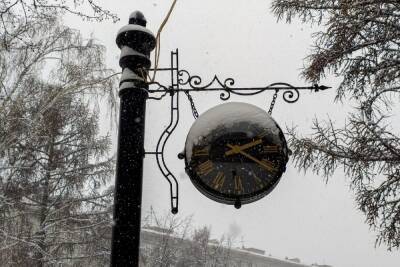 В День защитников Отечества Новосибирск завалит снегом - novos.mk.ru - Новосибирск - Сибирь