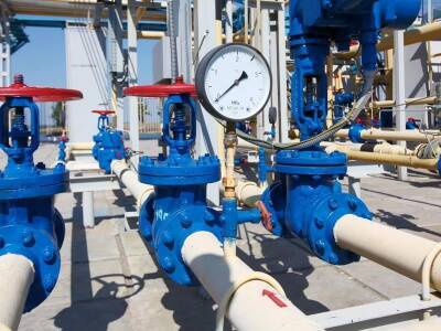 Азербайджан - Назван планируемый объём поставок газа по TANAP в 2022 г. - trend.az - Азербайджан