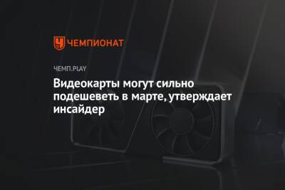 Видеокарты могут сильно подешеветь в марте, утверждает инсайдер - championat.com