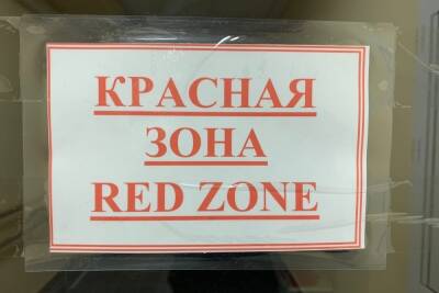 Минус 120 на сутки: в Тульской области обновилась статистика по ковиду - tula.mk.ru - Тульская обл.