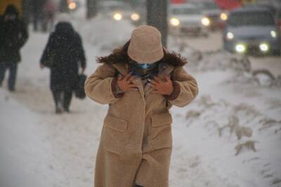Густаво Зырянов - В Новосибирске ожидается потепление до +1 и мокрый снег к концу недели - sib.fm - Новосибирск - Новосибирская обл.